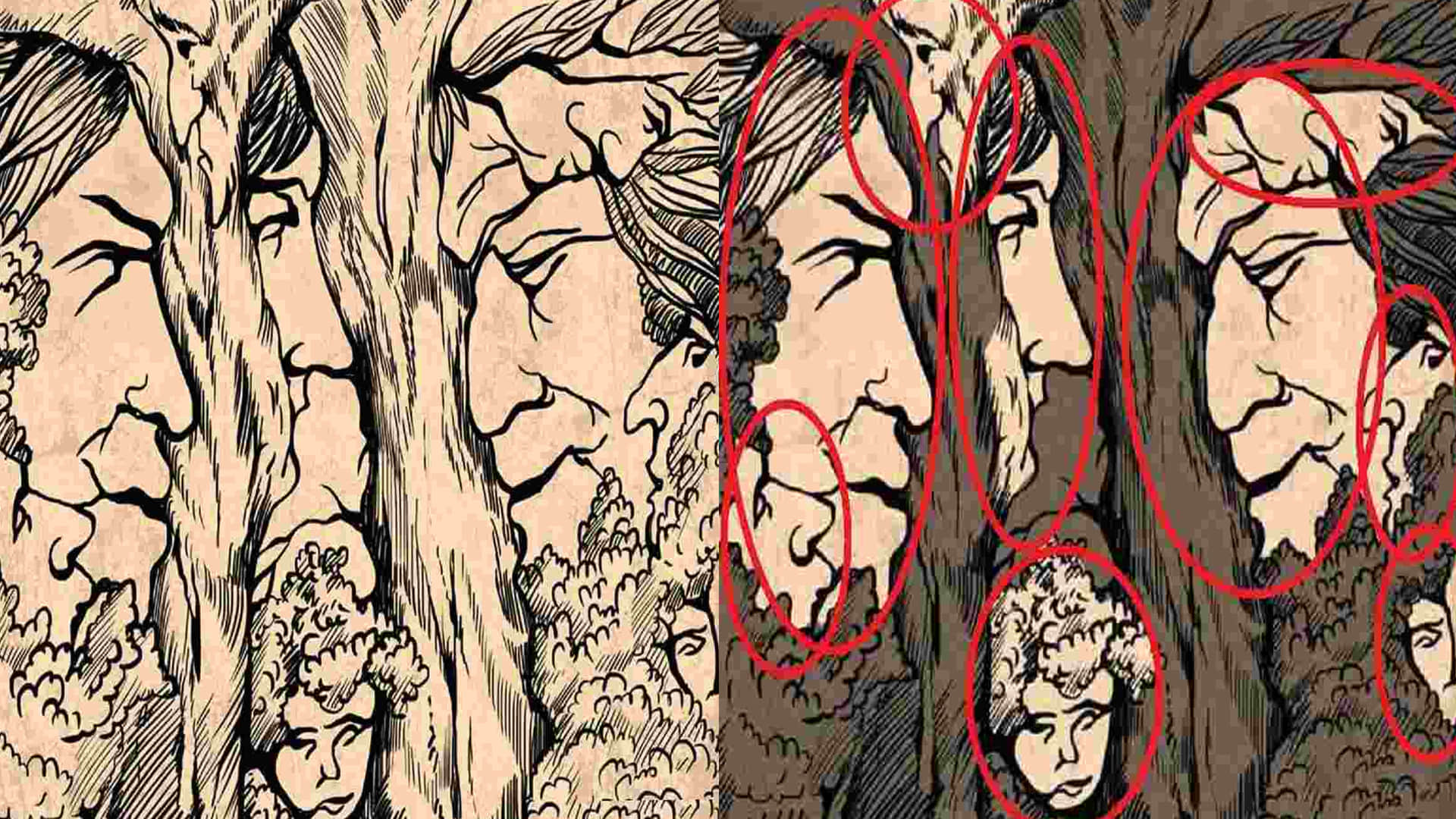 Optical Illusion Only 1% Of People Can Spot All The Nine Faces in 20 seconds Can You