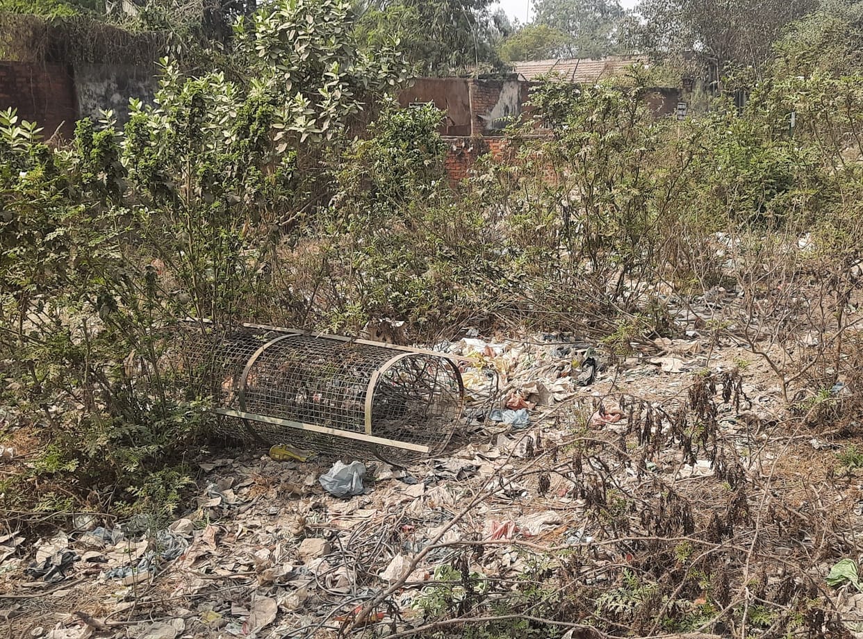 Medicinal plants missing, department was forgotten, tree guards are also throwing dust