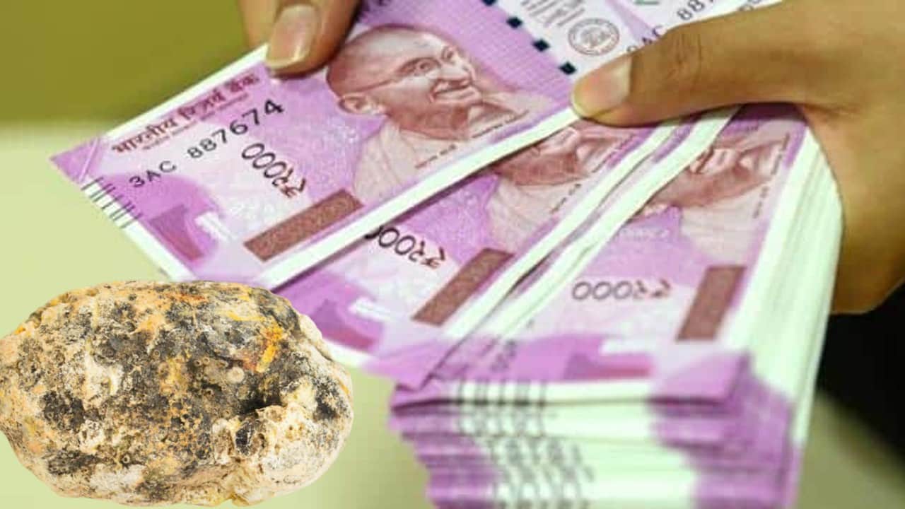 Ambergris whale fish Four people who came to Lucknow to sell vomit worth one crore rupees were caught