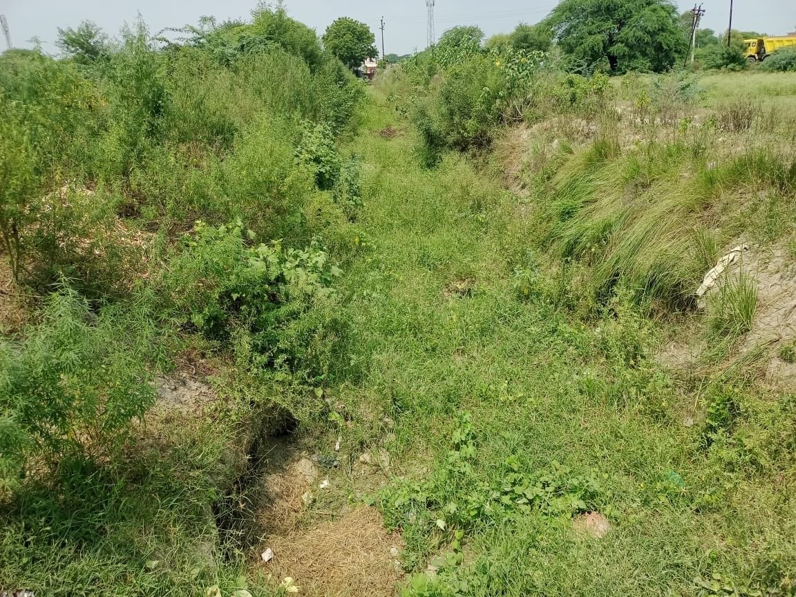 There is no water in Rajbah, crops are drying up