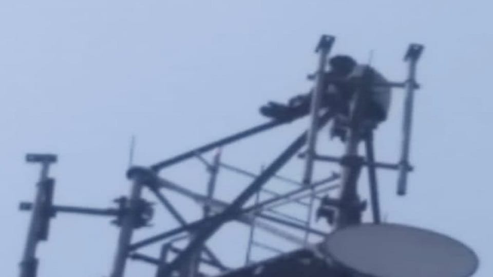 Youth climbed on mobile tower in Badaun s Zarifnagar