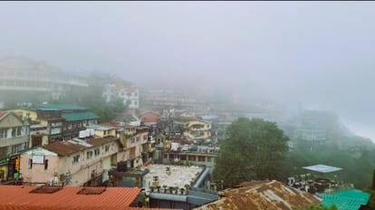 Dehradun: चिंताजनक...राजधानी में केवल 6% बचे हरियाली वाले इलाके, हर तरफ उगे कंक्रीट का जंगल Dehradun News: Only 6 Percent green areas left in City concrete jungle growing everywhere