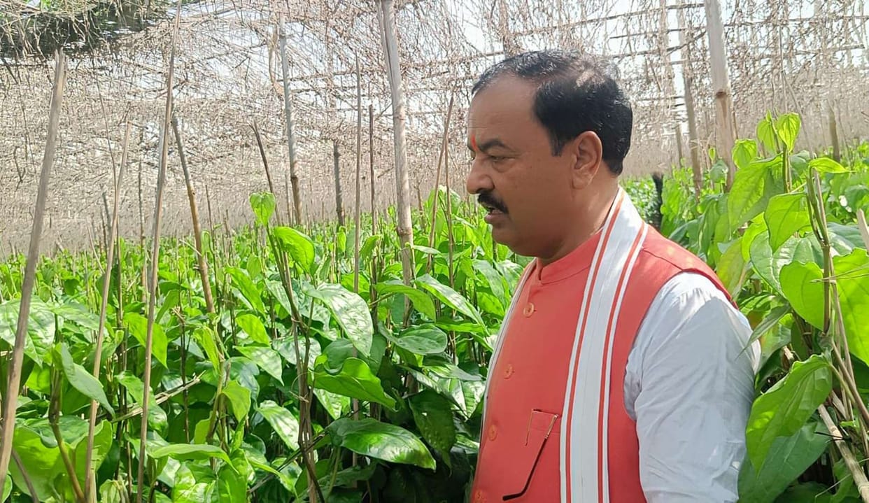 Mahoba: Electricity will reach the betel barges: Keshav Prasad Maurya