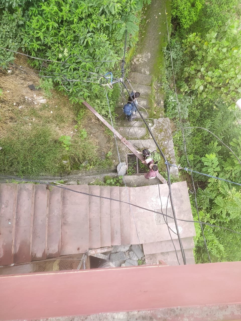 Inviting the accident fell on the side of the road
