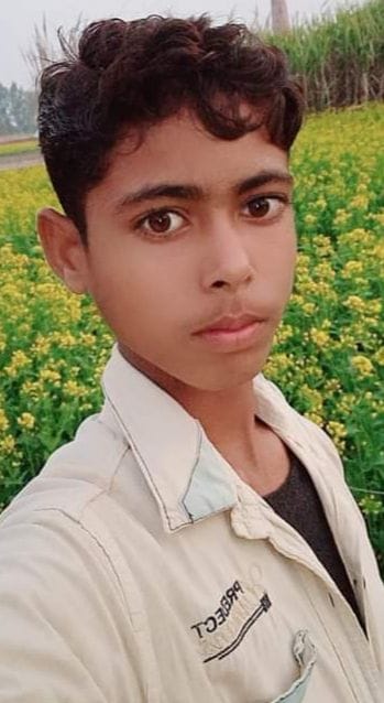 Student dies in school bus collision, fellow injured