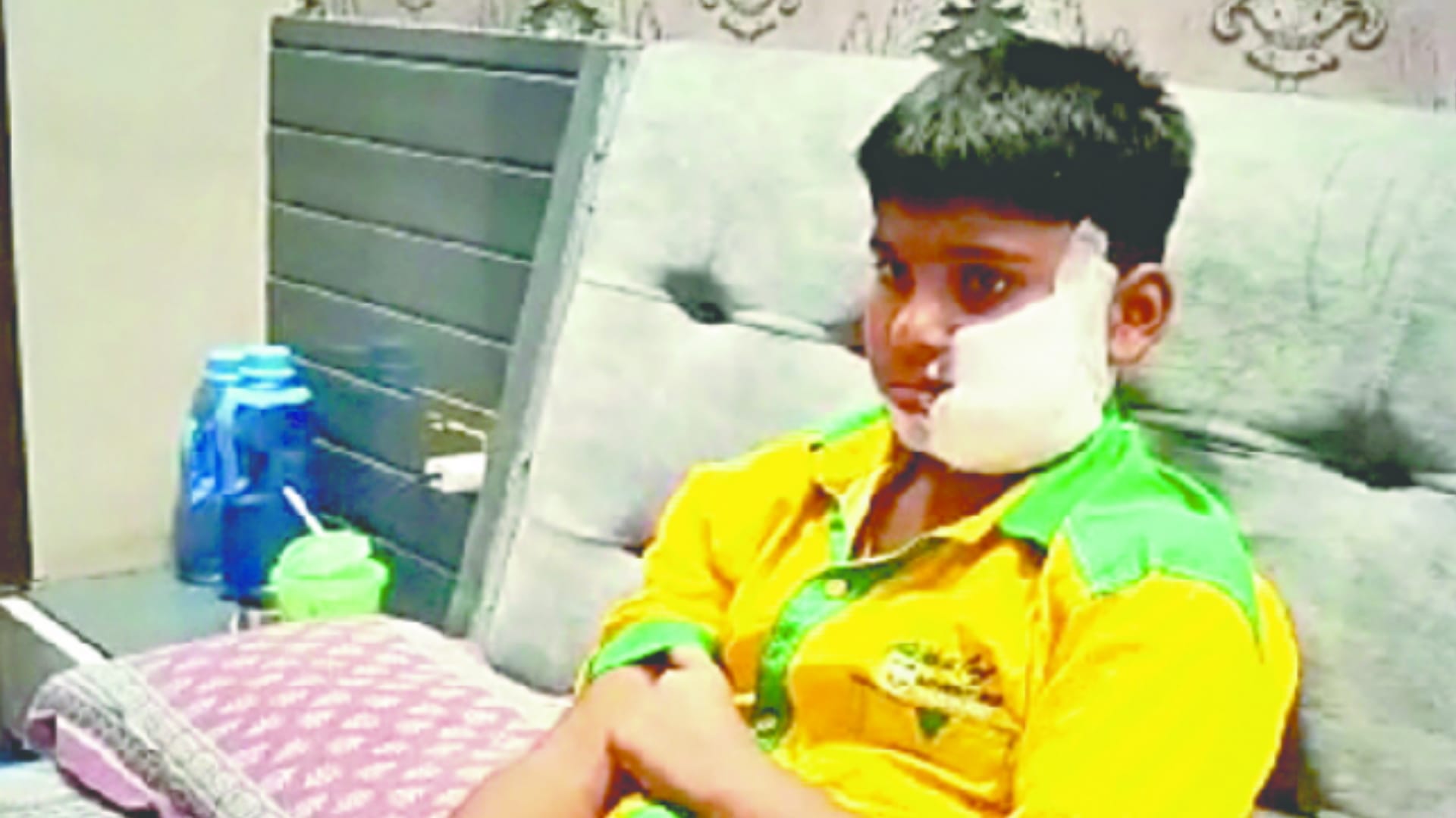 Ghaziabad Pitbull Owner Fined Five Thousand, Injured Kush Will Not Go to School for a Month