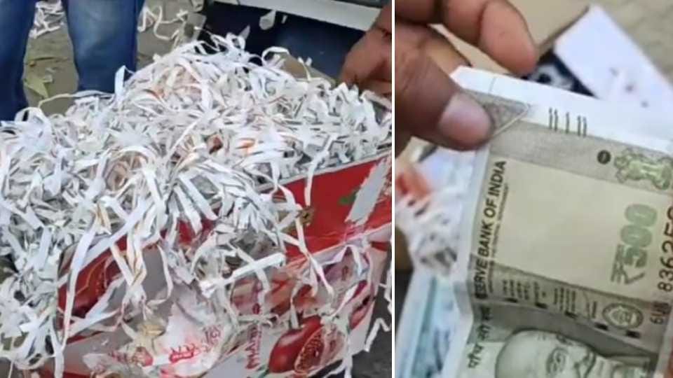 Shredding of notes found in pomegranate box in Bathinda