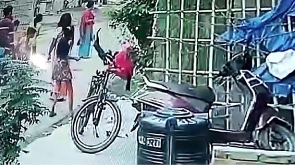 Case filed against woman who misbehaved with dog agra crime news