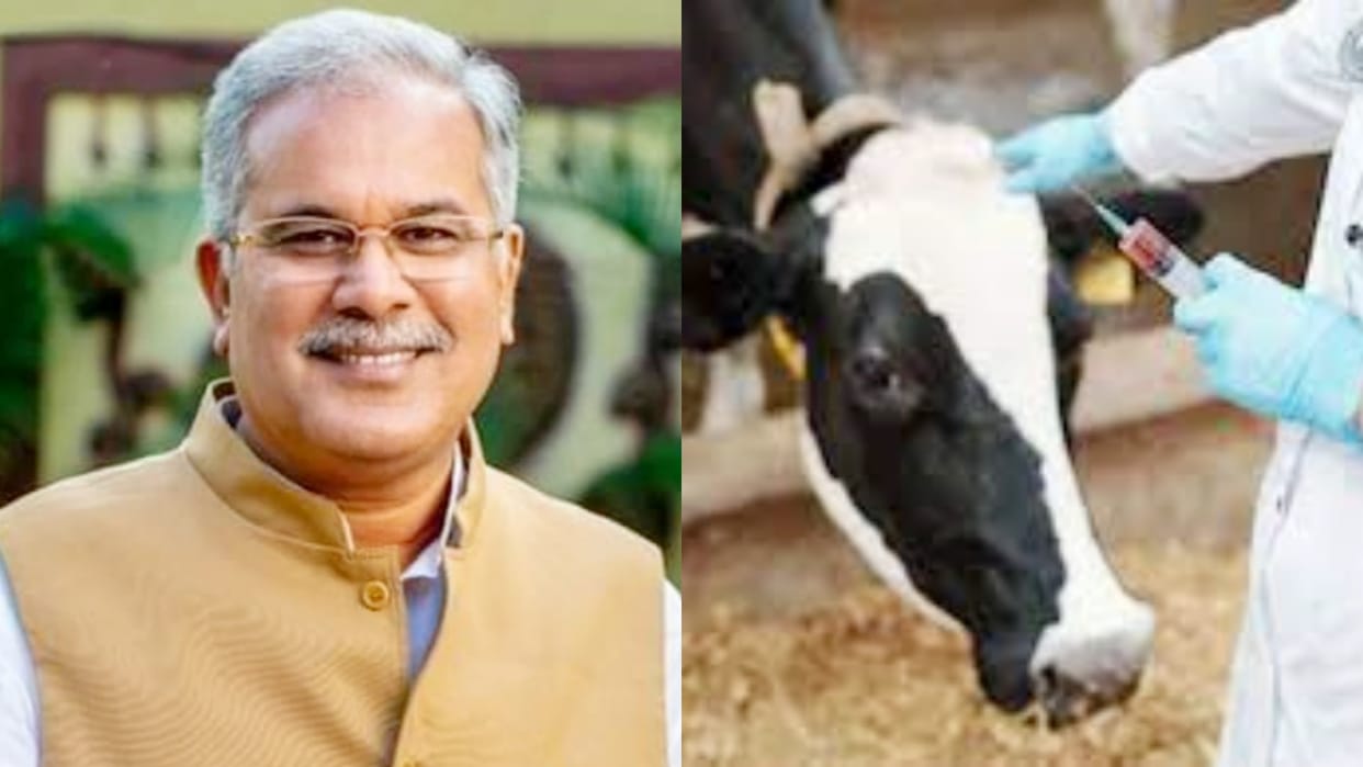 Chhattisgarh Government will start mobile veterinary units to provide medical assistance to livestock