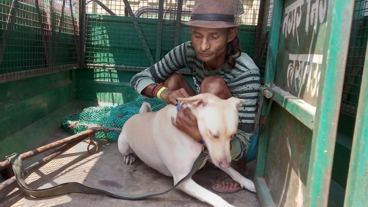 A dog attack on a man in krishna nagar in Lucknow.