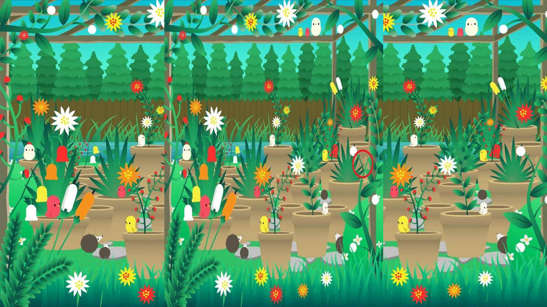 Viral Optical Illusion Photo Find Out Hidden Puppy from Image Test Your Brain IQ