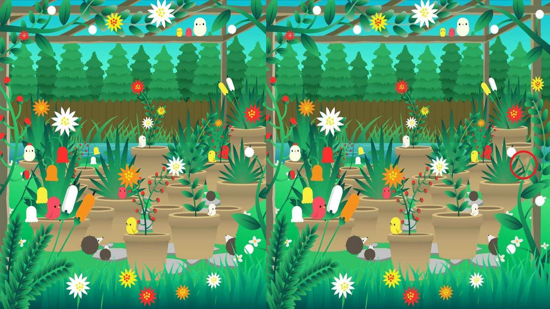 Viral Optical Illusion Photo Find Out Hidden Puppy from Image Test Your Brain IQ