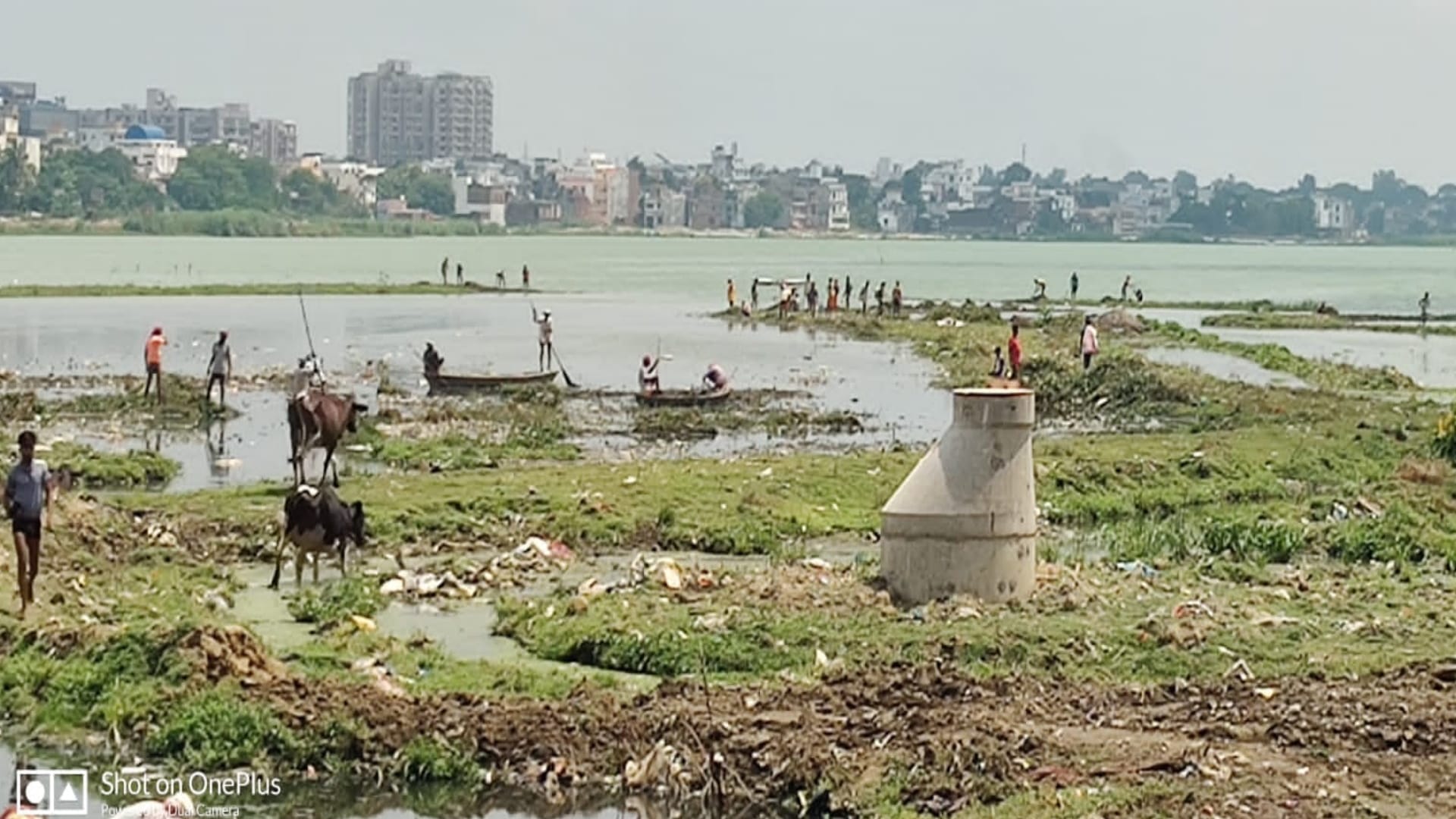 Hyacinth and mud cleaned near Padleganj at entry point of Ramgarh tal gorakhpur
