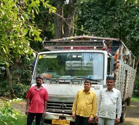 Caught sycamore wood going from Ajgaiva forest to Gida