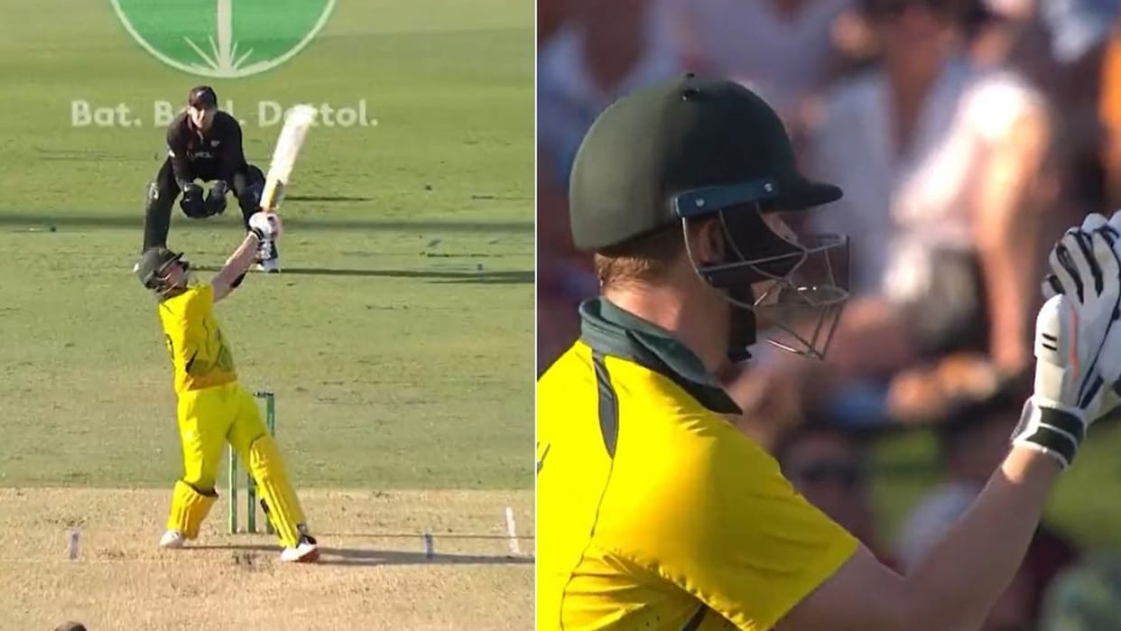 AUS vs NZ Video Steve Smith scored century Shows Great Game Awareness tells umpire it was a no ball watch