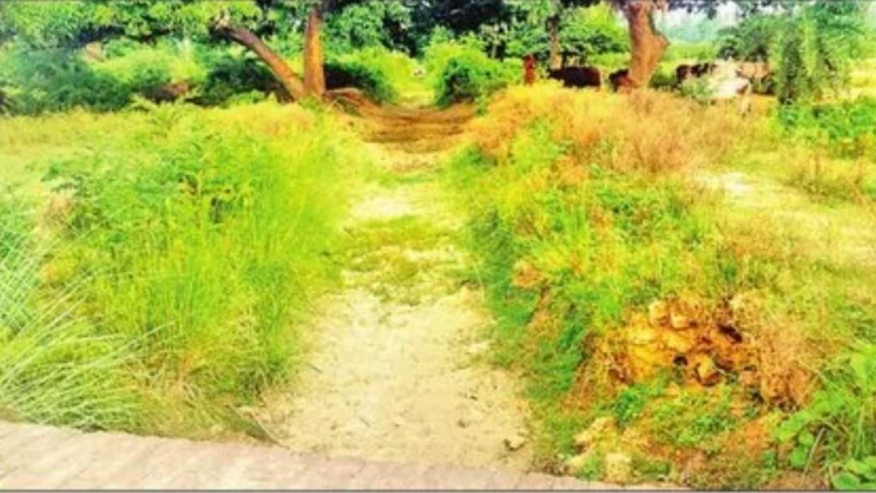 farmers are worried because of low rain in Barabanki.