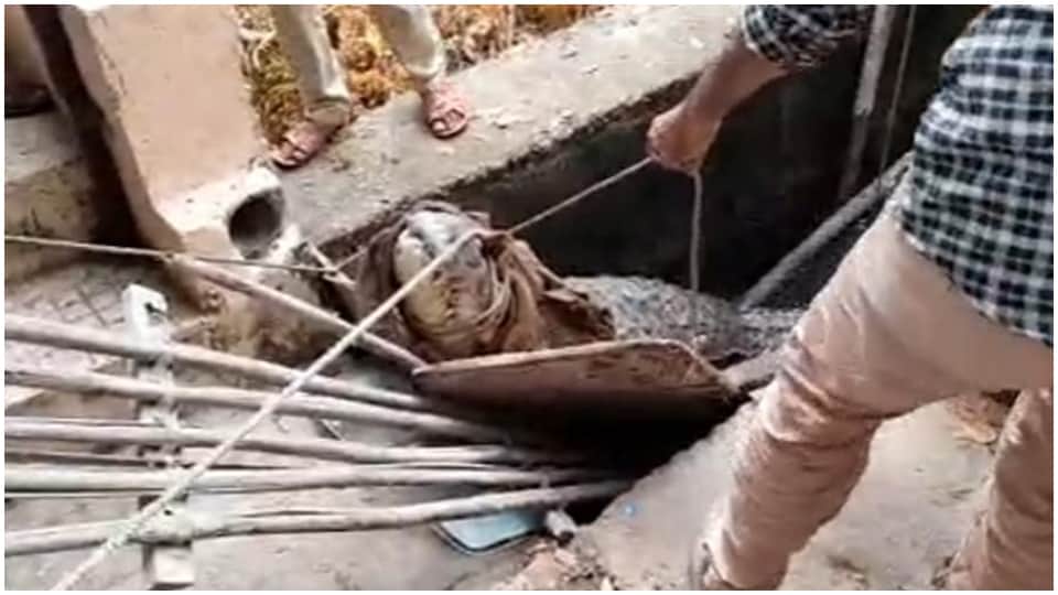 Crocodile Rescue Operation In kota Eight Feet Crocodile