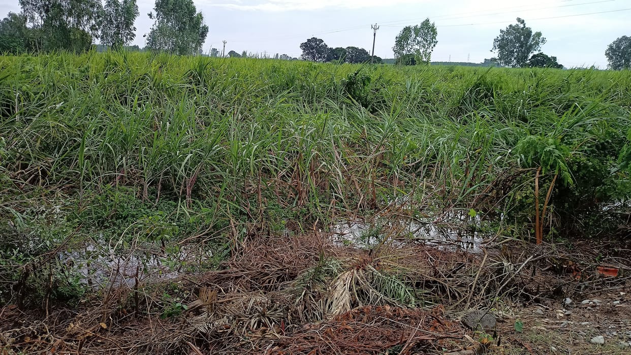 People got relief from heavy rain