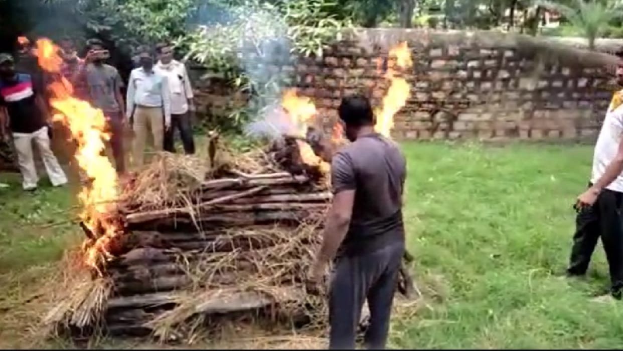 Female cub Bhavani dies in Gwalior zoo, lost her life in mother's attack, last rites performed after PM