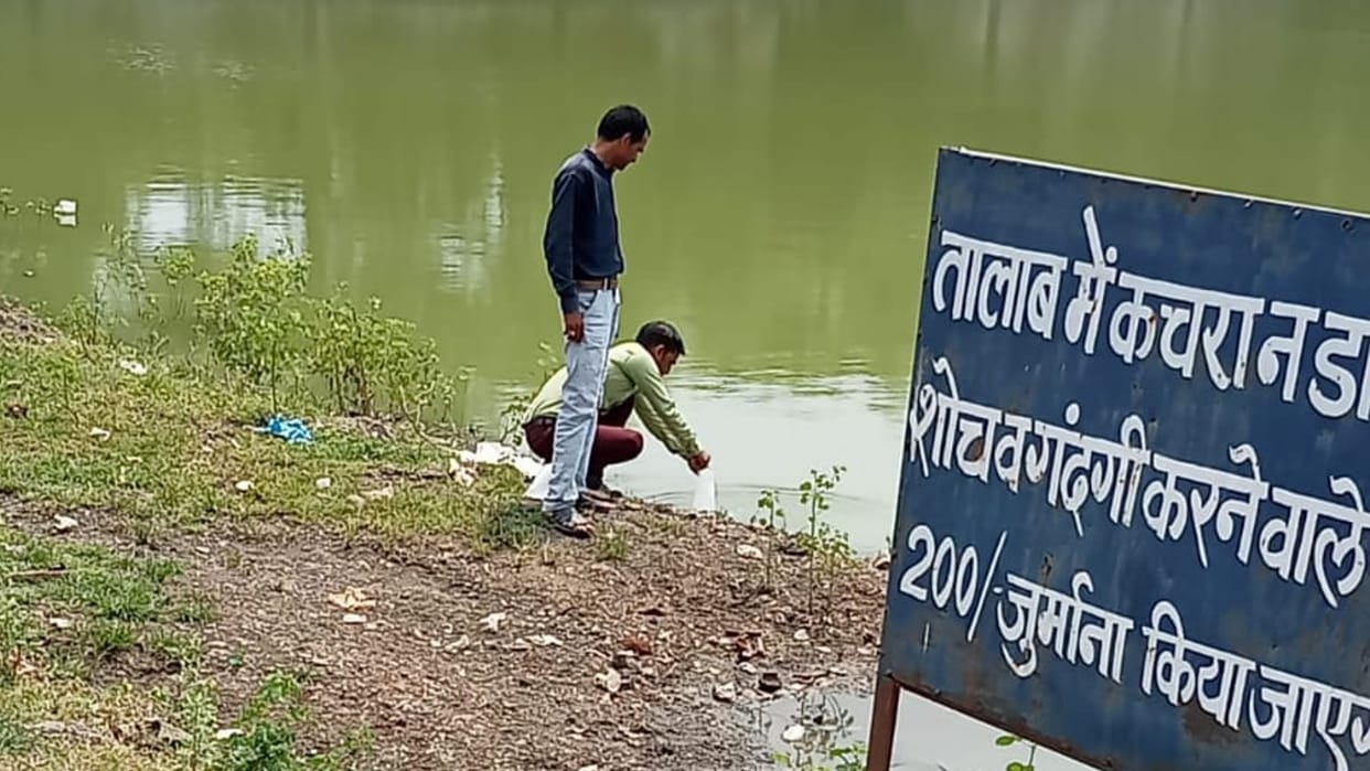 Gambusia fish put in the ponds and puddles of Sehore, Malaria Department's awareness campaign