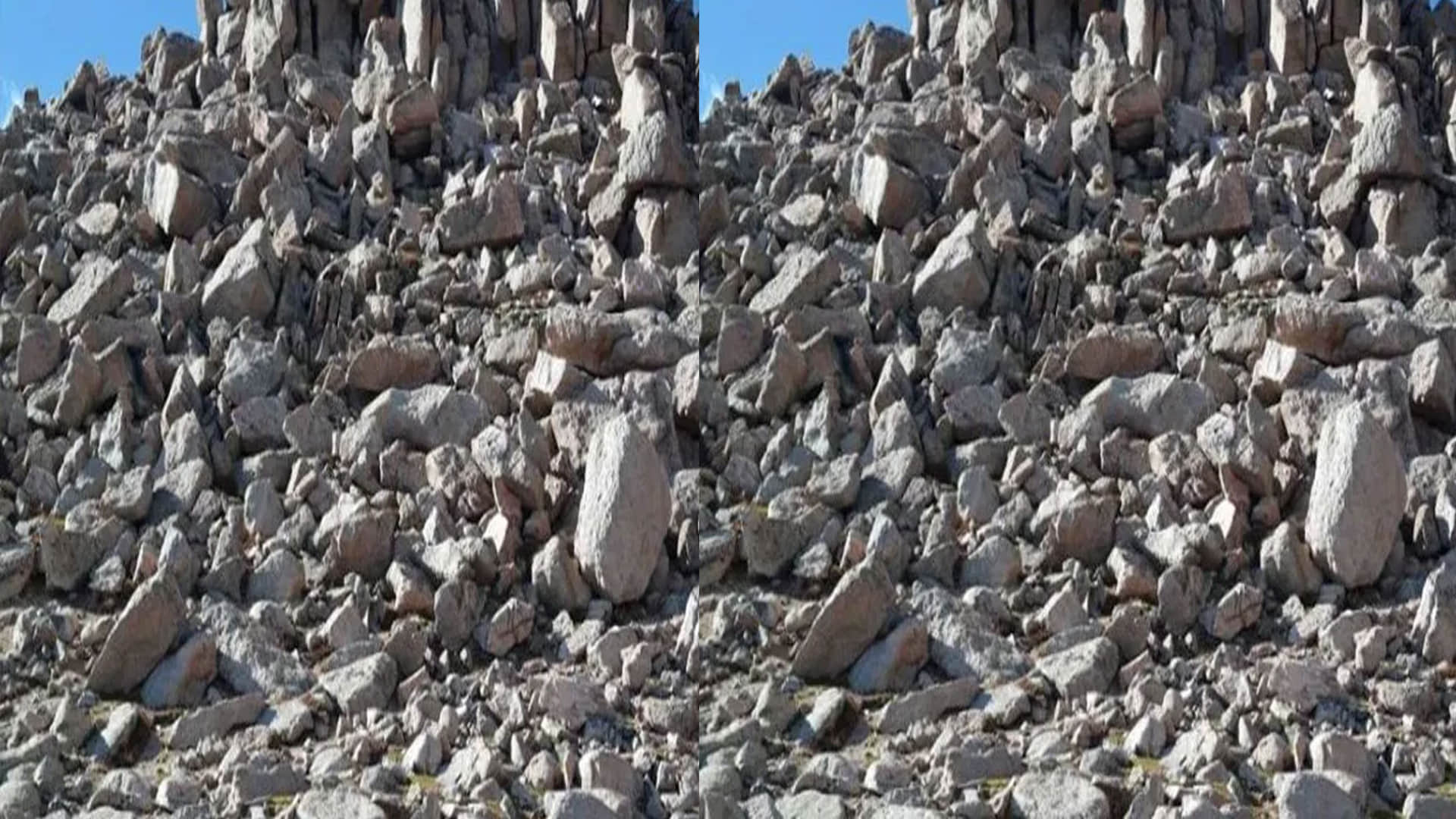 Optical Illusion Images for Brain IQ Test Find Out Hidden Sheep from Viral photo