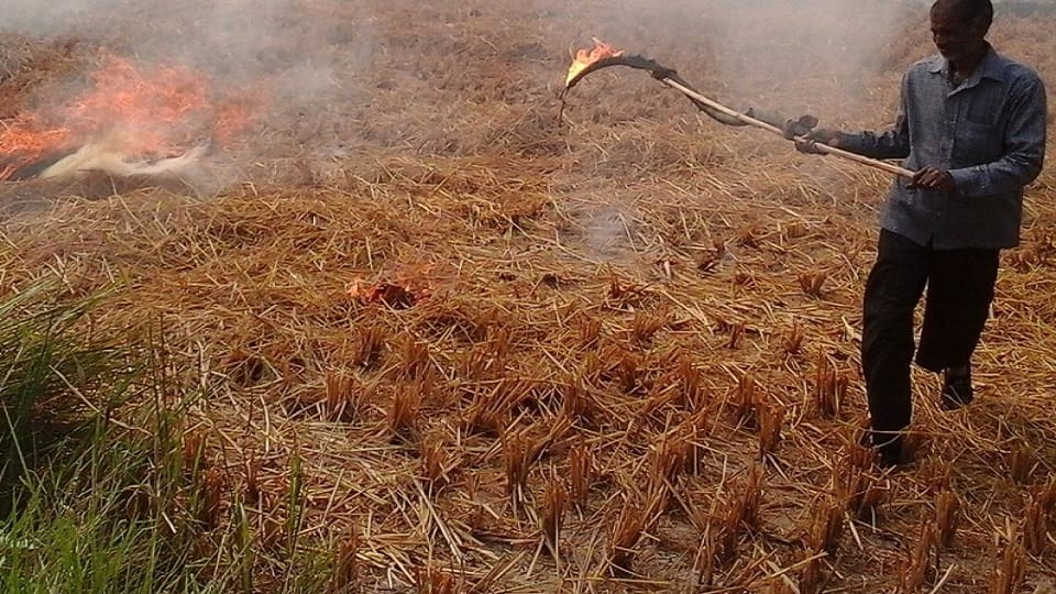 Bio decomposer powder will dispose of stubble