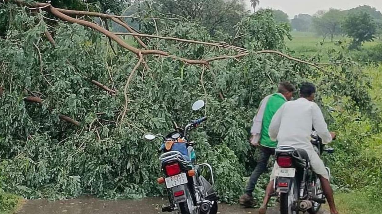 Rajasthan Weather Update rain alert in 11 districts of state