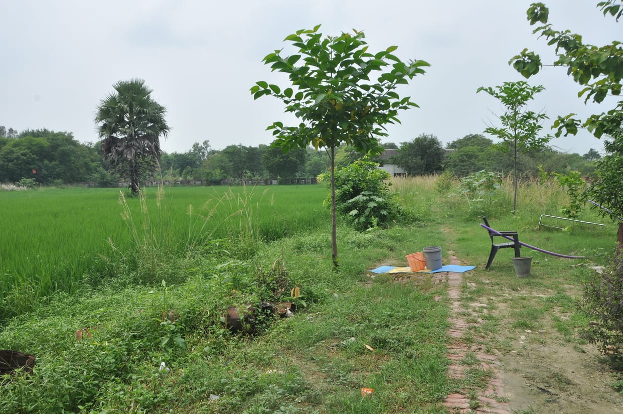 Two thousand seat capacity auditorium will be built on the vacant land of Vikas Bhawan