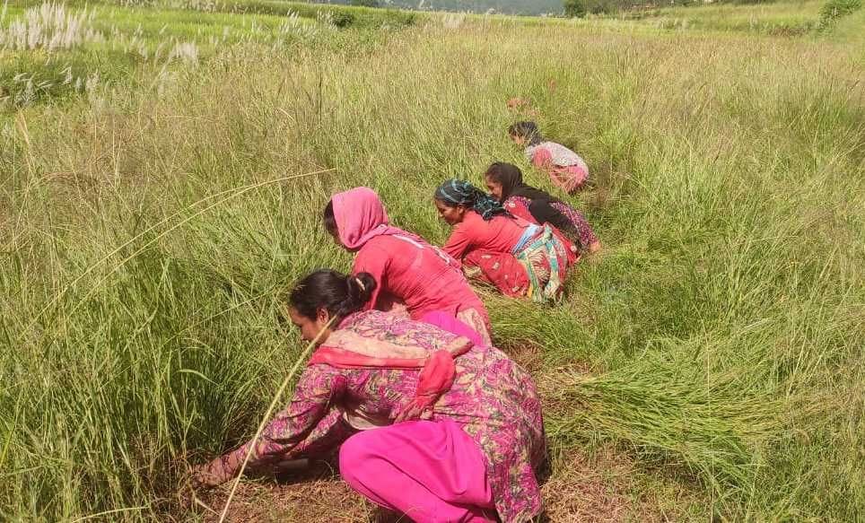 200 Women Participated In Ghasiyari  Comp
