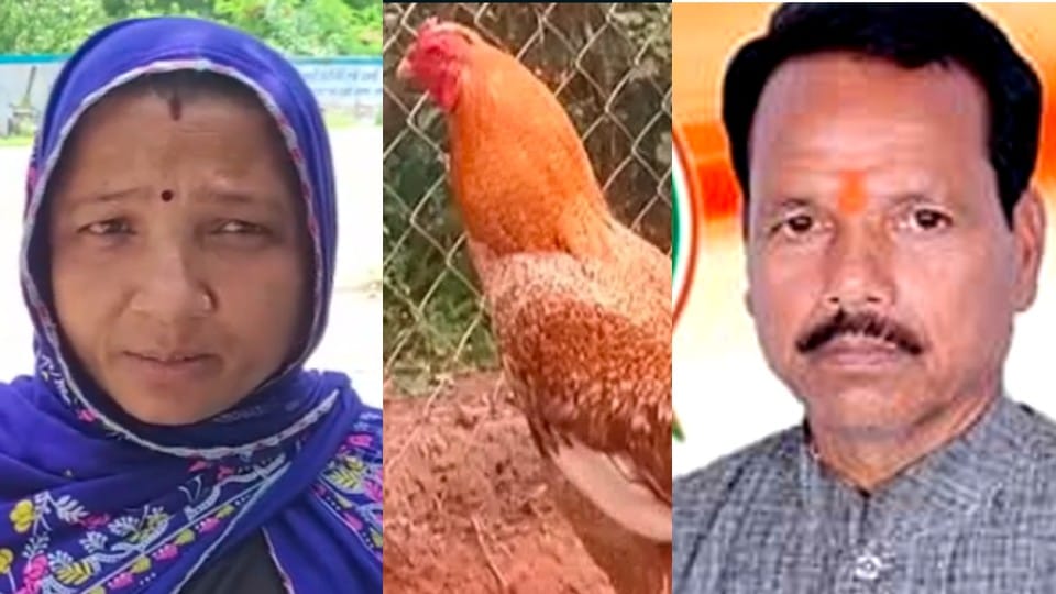 FIR registered for theft of chicken in Betul, now MLA's entry, know what is the matter