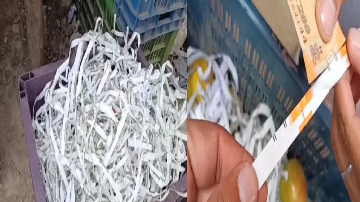 Now suspicious shredding of notes found in pomegranate boxes in Solan