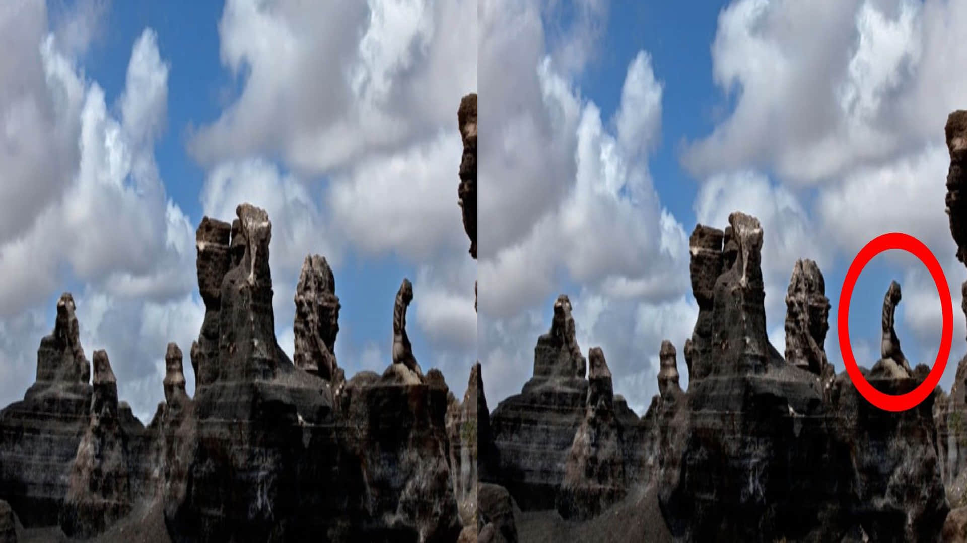 optical illusion photo woman finding in puzzle photo google trends viral photo today