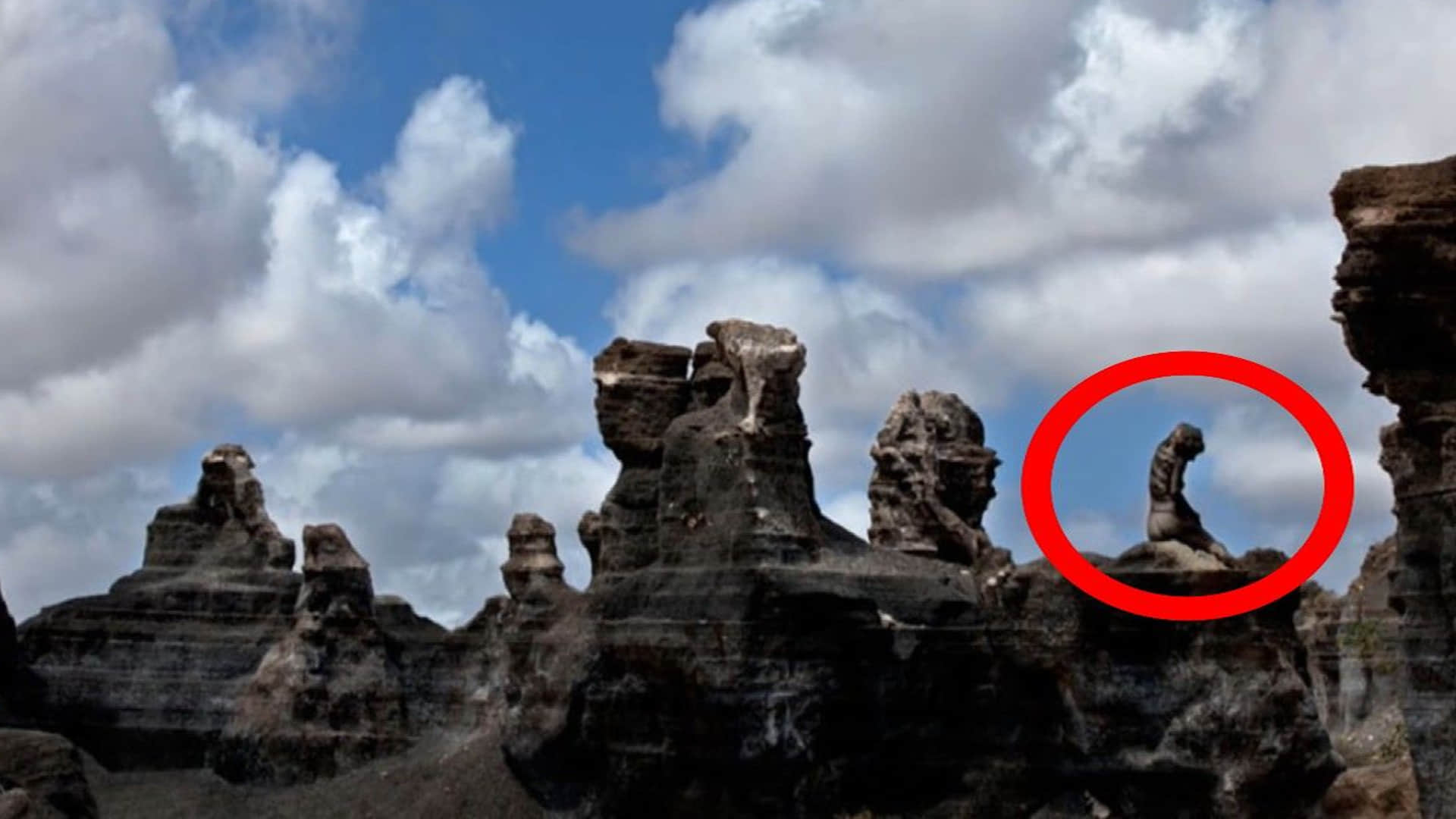 optical illusion photo woman finding in puzzle photo google trends viral photo today