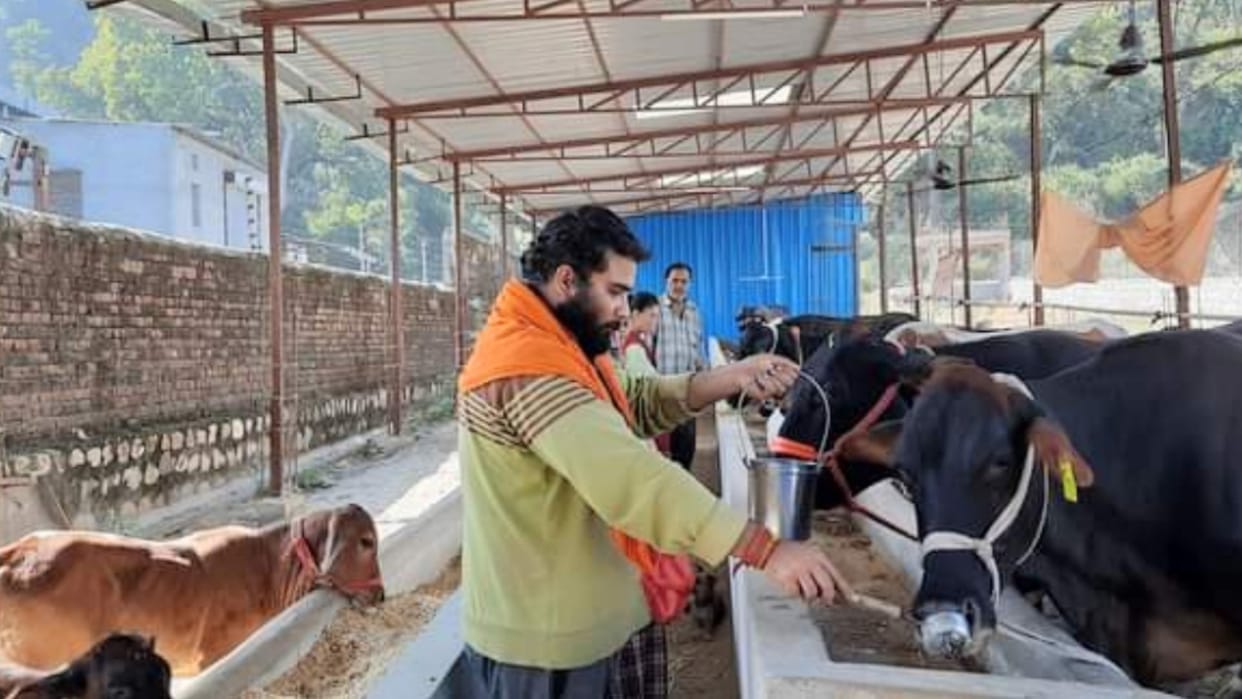 sachin oberoi goshala for govansh in Nahan Sirmour Himachal Pradesh