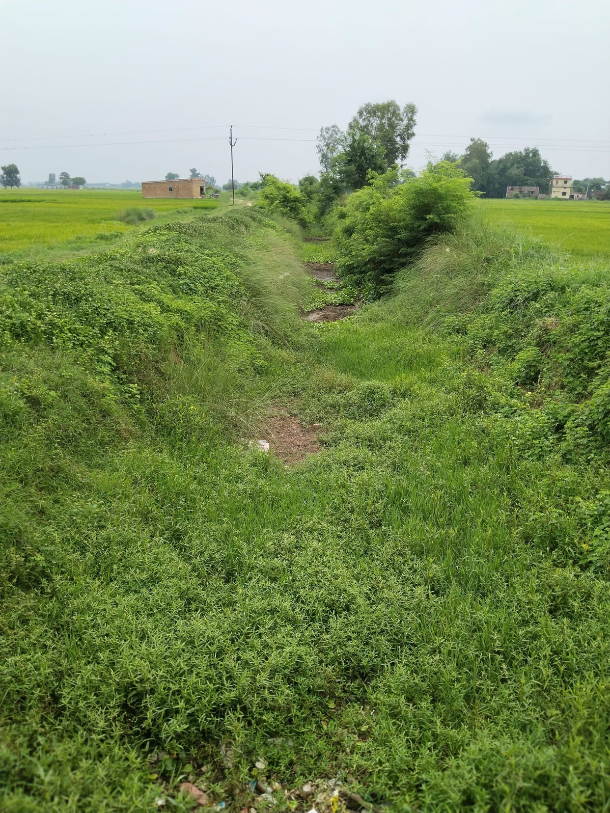 canals dry due to gap and silt
