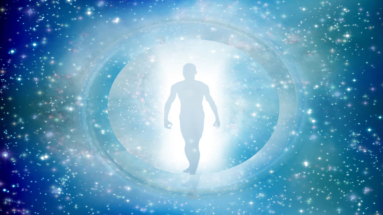 Scientists Discovered Age Defying Jellyfish Knw How Humans Will Be Immortal in Hindi