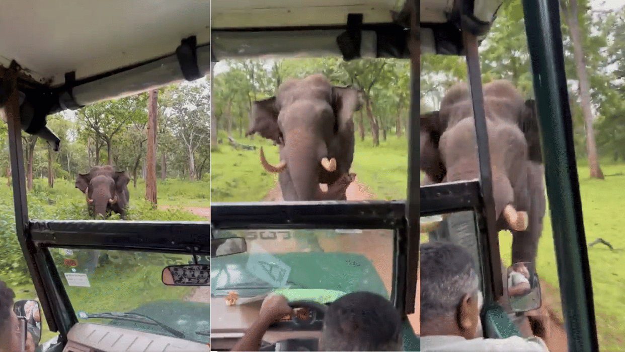 Anand Mahindra praises man driving Mahindra Bolero on reverse to escape chasing wild elephant