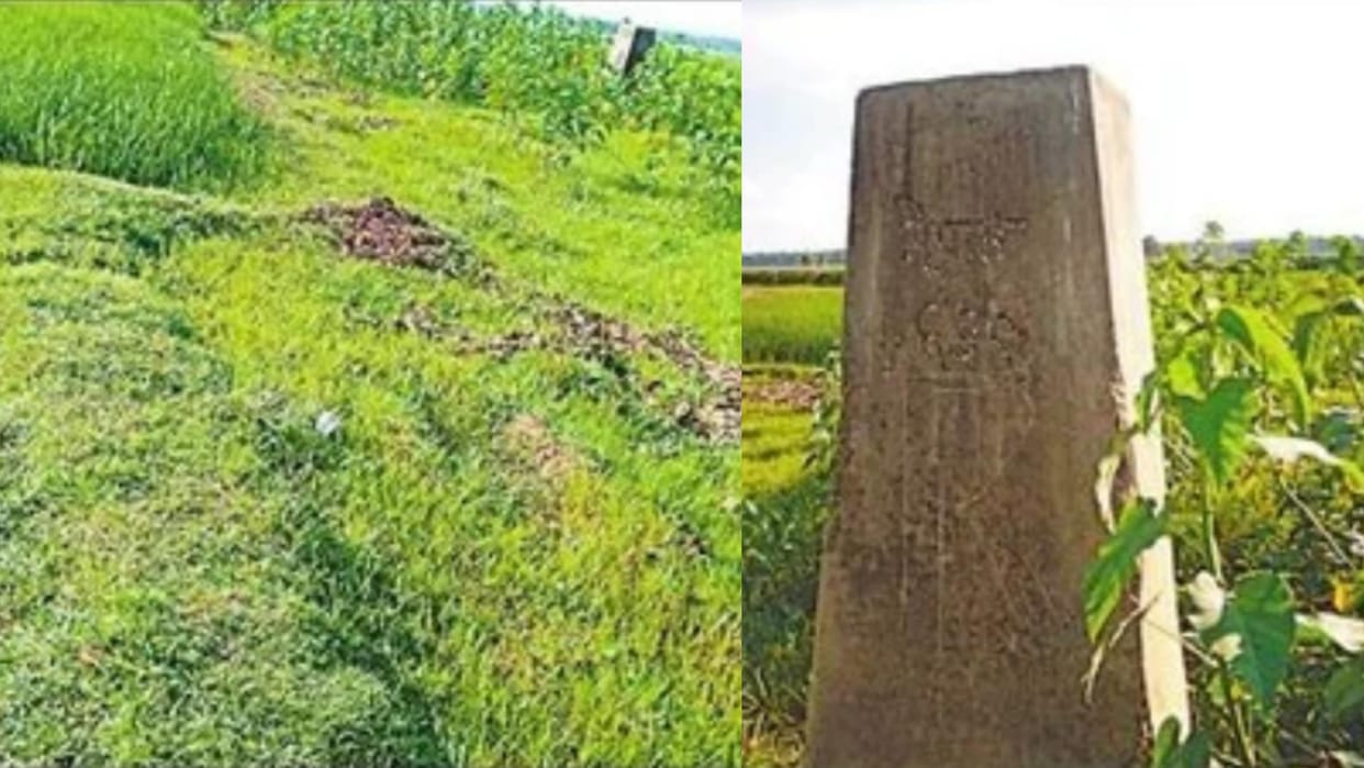 Not only did the village settle on no man's land, the crop was also flourishing