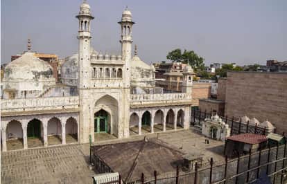 Gyanvapi Masjid Case: ASI Survey Accepted Hindu Side Claims Another Shivling Under Main Dome