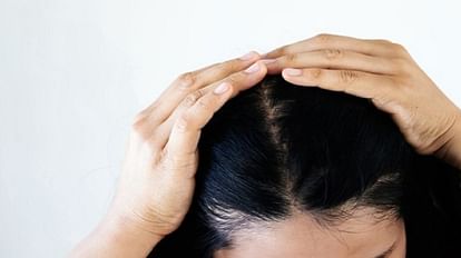 Hair Care:बेहद पतले हैं बाल तो इन प्राकृतिक चीजों से बनाएं घना और चमकदार -  Give Volume To Hair With Natural Products Amla, Brahmi Reetha Shikakai -  Amar Ujala Hindi News Live