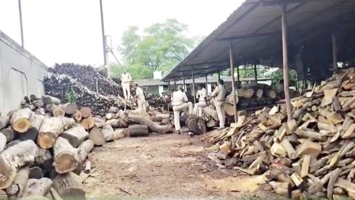 BJP leader threatened the forest officer who came to investigate the wood mill in Katni