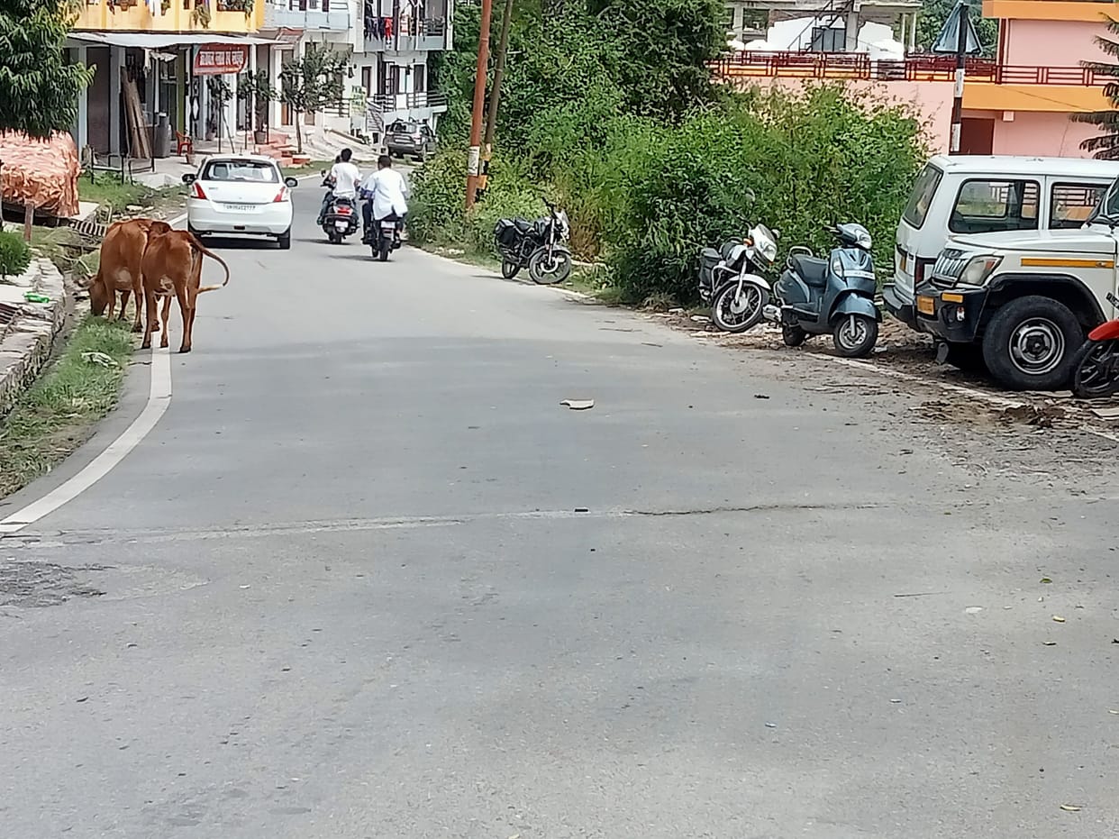 Accident By Overspeed in Almora