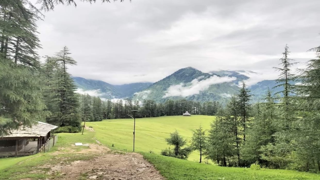 The Great Himalayan National Park of Himachal is a treasure trove of herbs, a paradise for tourists and nature
