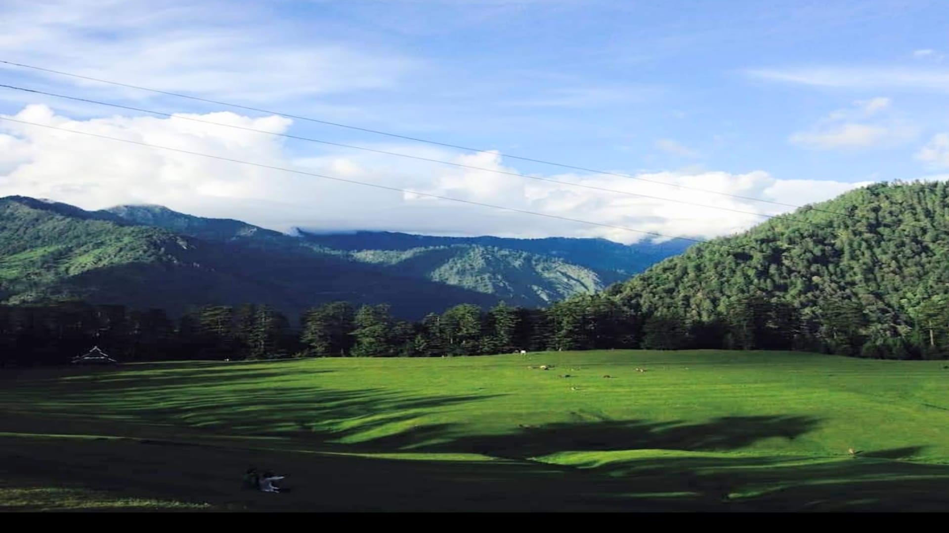 The Great Himalayan National Park of Himachal is a treasure trove of herbs, a paradise for tourists and nature