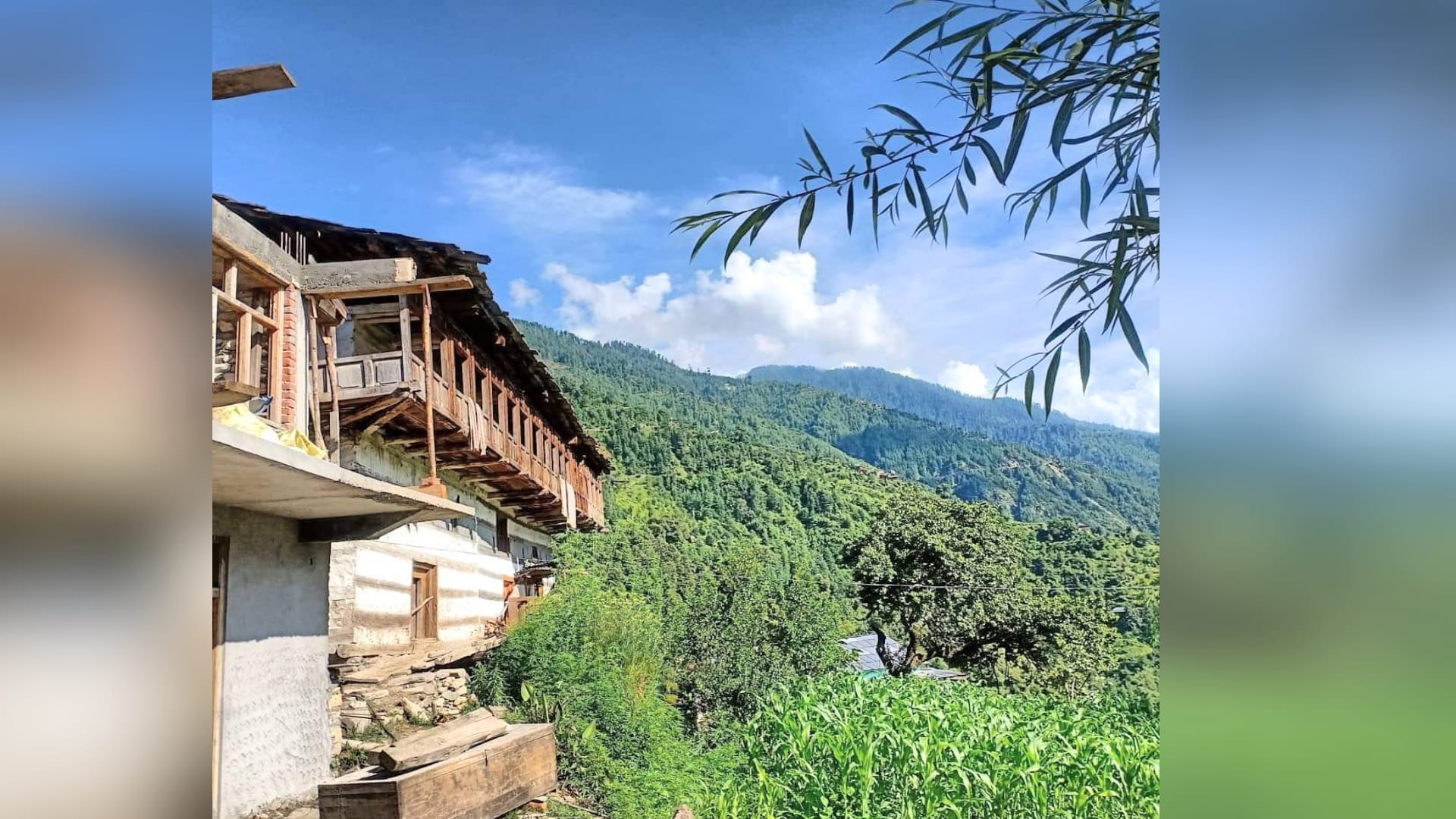 The Great Himalayan National Park of Himachal is a treasure trove of herbs, a paradise for tourists and nature