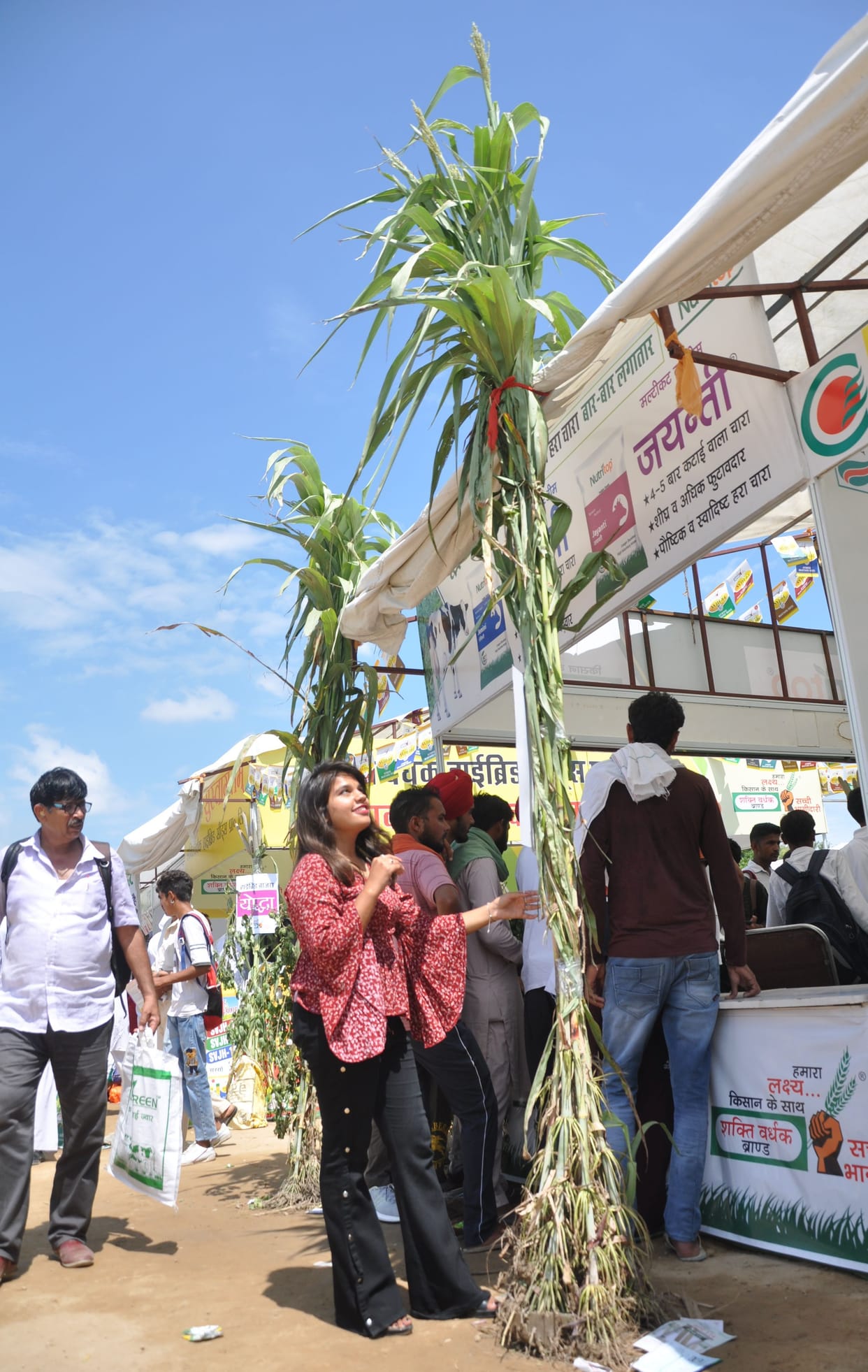 Krishi Mela: Stepped up with new technology and became a progressive farmer