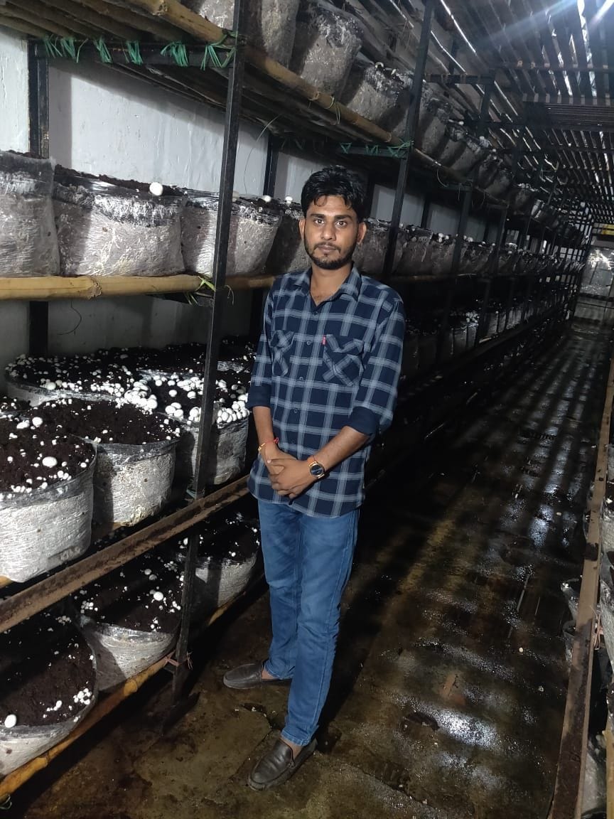 New technology adopted by leaving traditional farming, Dr. Vikas became expert in mushroom production