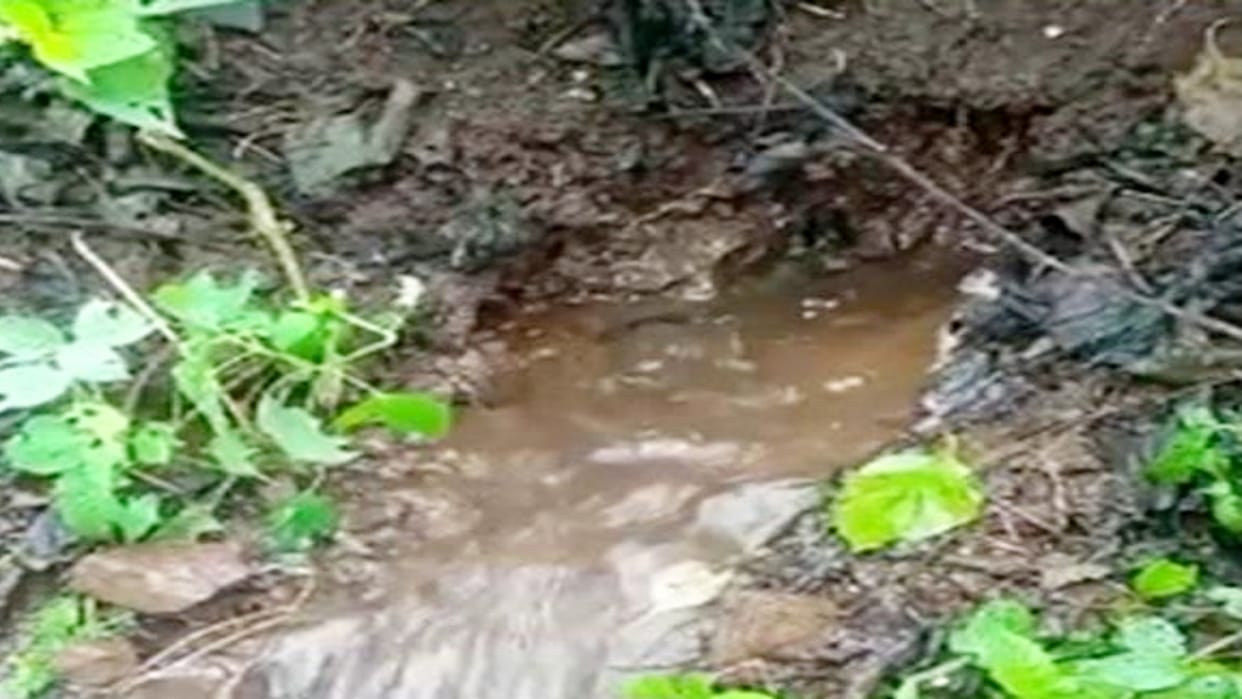 Khandwa Dam Leakage After Dhar now Khandwa dam is in danger
