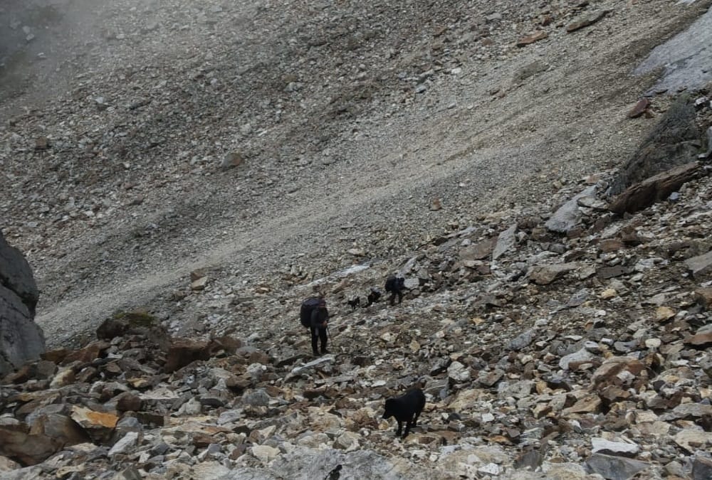Uttarakhand News: Six Youth found new Tal in himalaya region see beautiful photos