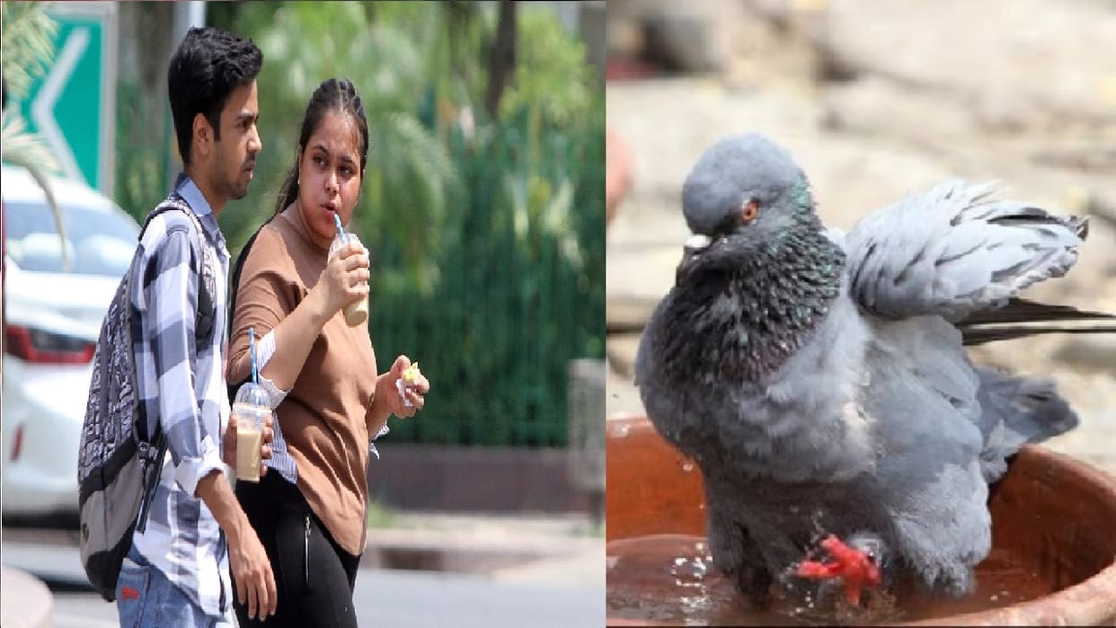 Delhi Weather Report winds at speed of 30 40 per hour are expected in Delhi and surrounding areas